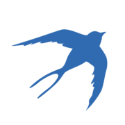 image vectorielle d'une petite hirondelle