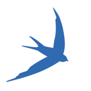 image vectorielle d'une petite hirondelle